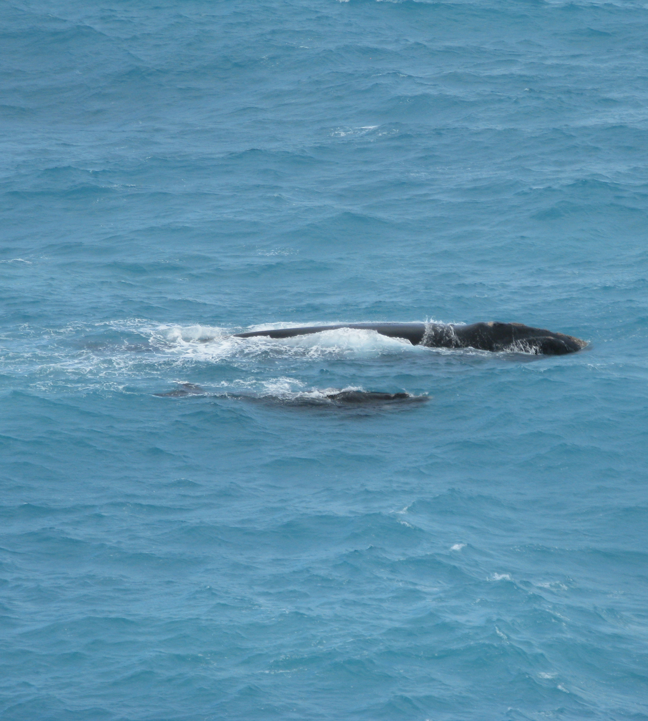 Crossing the Nullarbor | Tim Bowden's blog